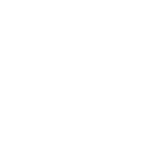 https://info.adventisthealth.org/files/icons/spine-icon.png